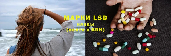 прущие грибы Абдулино