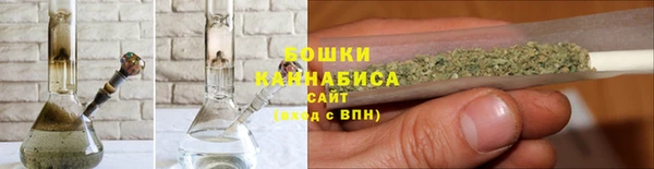 прущие грибы Абдулино