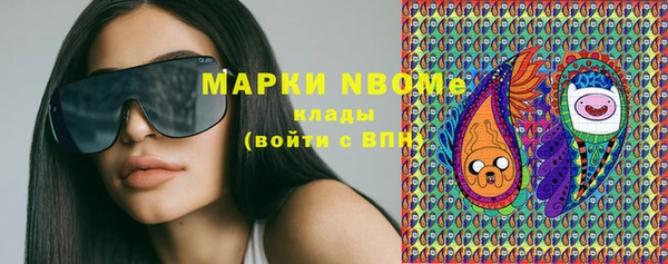 индика Абинск