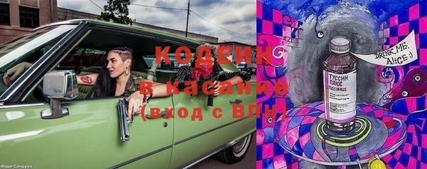 индика Абинск