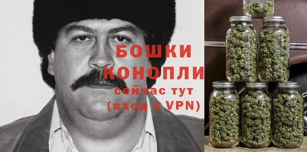 прущие грибы Абдулино