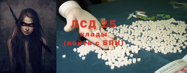 индика Абинск