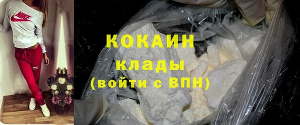 индика Абинск