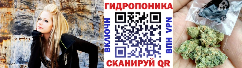 Каннабис Amnesia  darknet наркотические препараты  Домодедово  мега ССЫЛКА 
